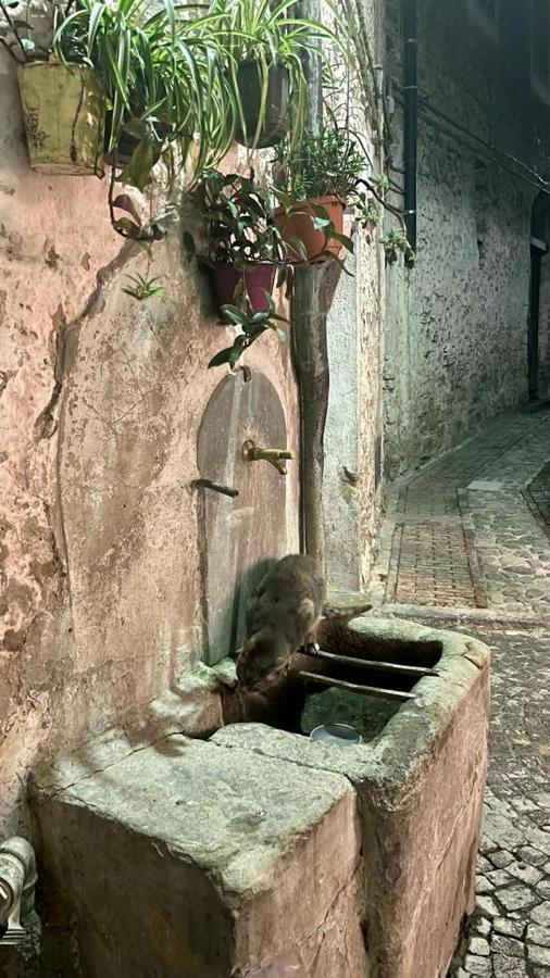 Le Petit Bijou Di Dolceacqua, Per Un Momento Romantico エクステリア 写真